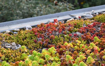 the cost of Walmer Bridge green roof installation