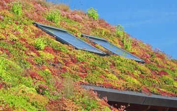 Walmer Bridge living roof systems