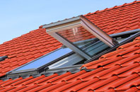 Walmer Bridge roof window